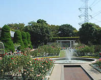 総合レクイエーション公園